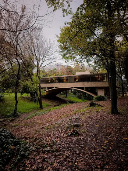 Casa y jardín bajo las copas de los árboles.