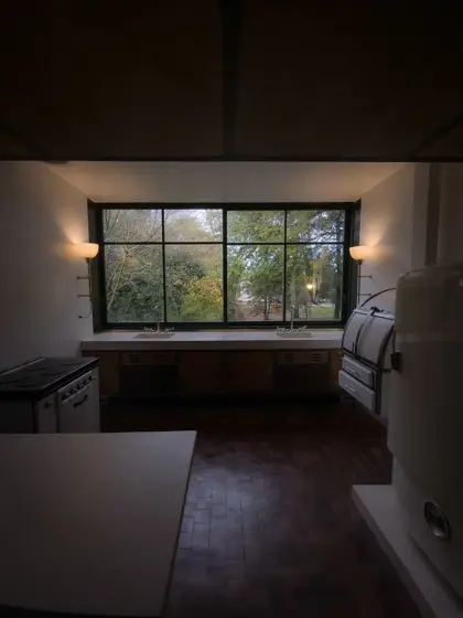Ventana horizontal como marco del bosque desde el interior.