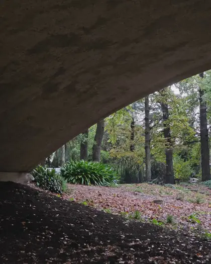 El bosque visto desde la sombra del alero de hormigón.