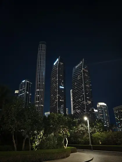 Torres iluminadas y vegetación en el paisaje nocturno.